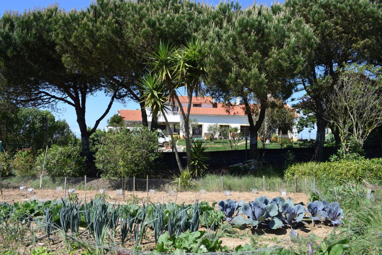 Casa Jardim Peniche Bed & Breakfast São Bernardino Dış mekan fotoğraf