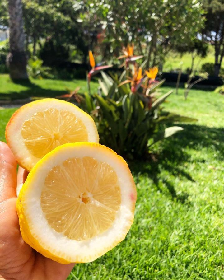 Casa Jardim Peniche Bed & Breakfast São Bernardino Dış mekan fotoğraf